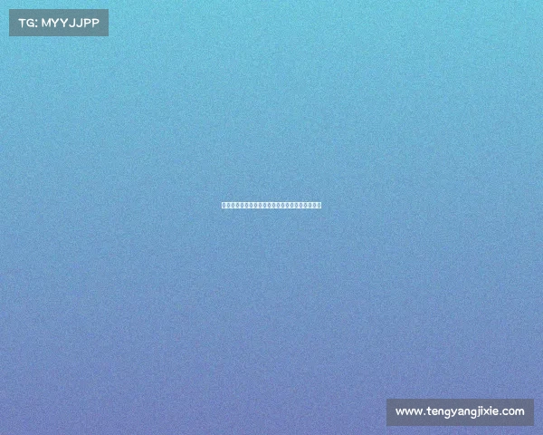 本怀特与哲凯赖什曾携手并肩作战的篮球传奇时刻