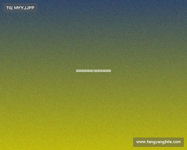 米兰与曼联先行达成协议 采取反向策略争夺霍伊伦