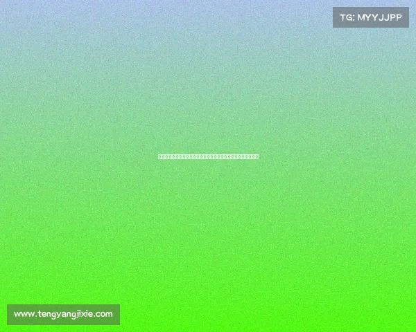 阿斯：勒沃库森在失去阿隆索及多名核心球员后迎来全面重建挑战