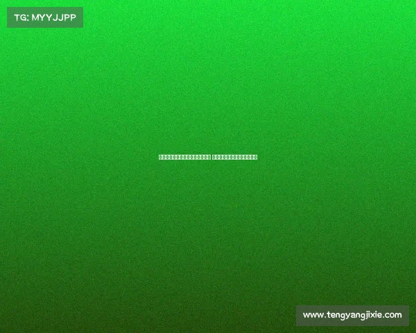 英媒曝切尔西重启引进迈尼昂计划 与米兰已接触洽谈转会可能性