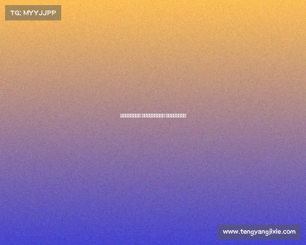 锦标赛盛况全解析 多领域竞技精彩纷呈 打造顶级赛事盛宴