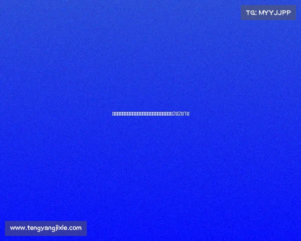 阿隆索执教勒沃库森期间五次交手科瓦奇成绩占优取得2胜2平1负